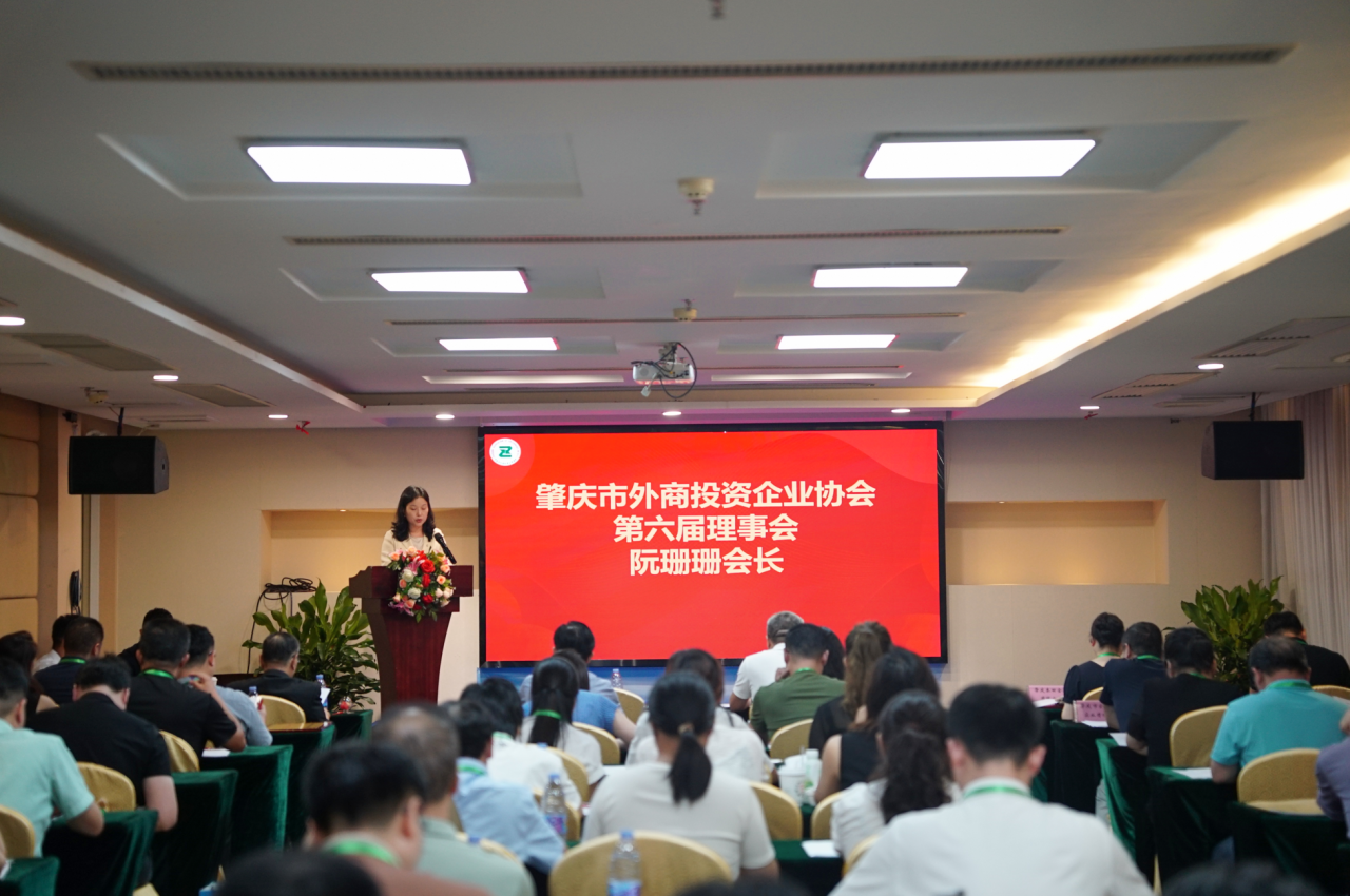深耕招商二十载，共筑湾区梧桐创新高